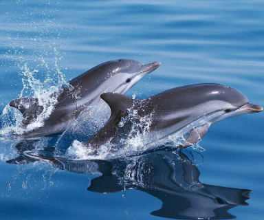 61704fa7cb178898179229 (1)